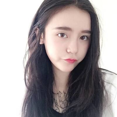我的猫咪俱乐部免费下载