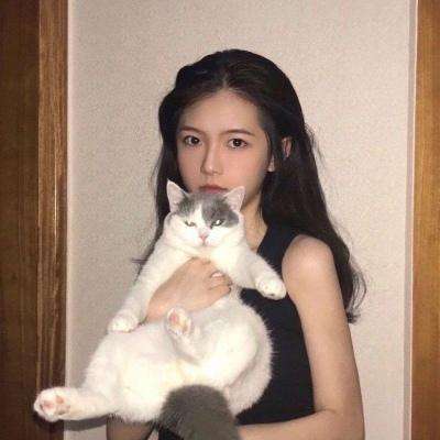 钢铁力量2九游版最新下载